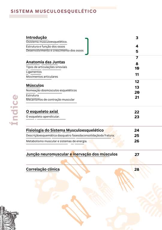 Sum&aacute;rio do sistema m&uacute;sculo-esquel&eacute;tico