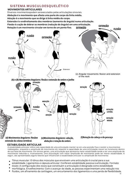 Movimentos articulares explicados visualmente