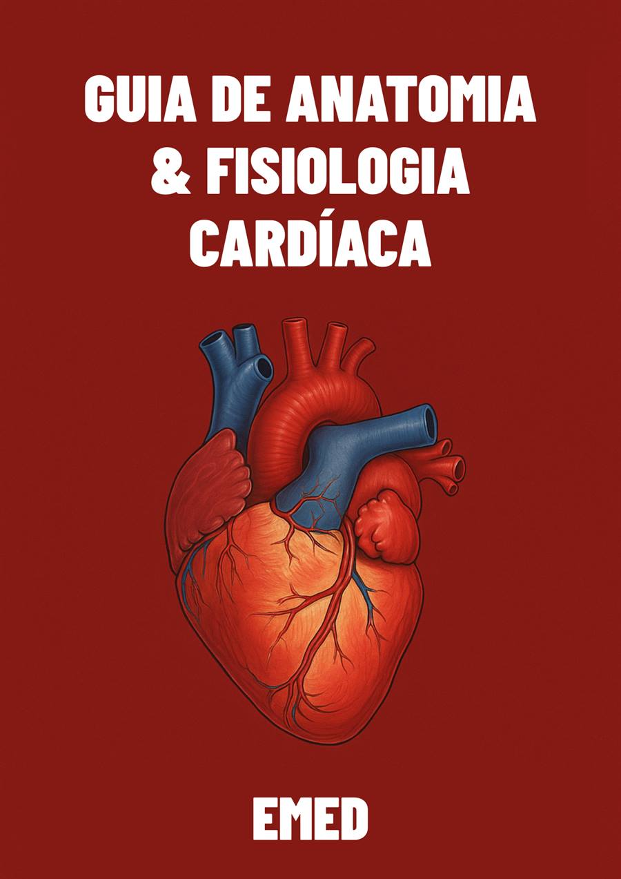 Capa do bonus de cardiologia
