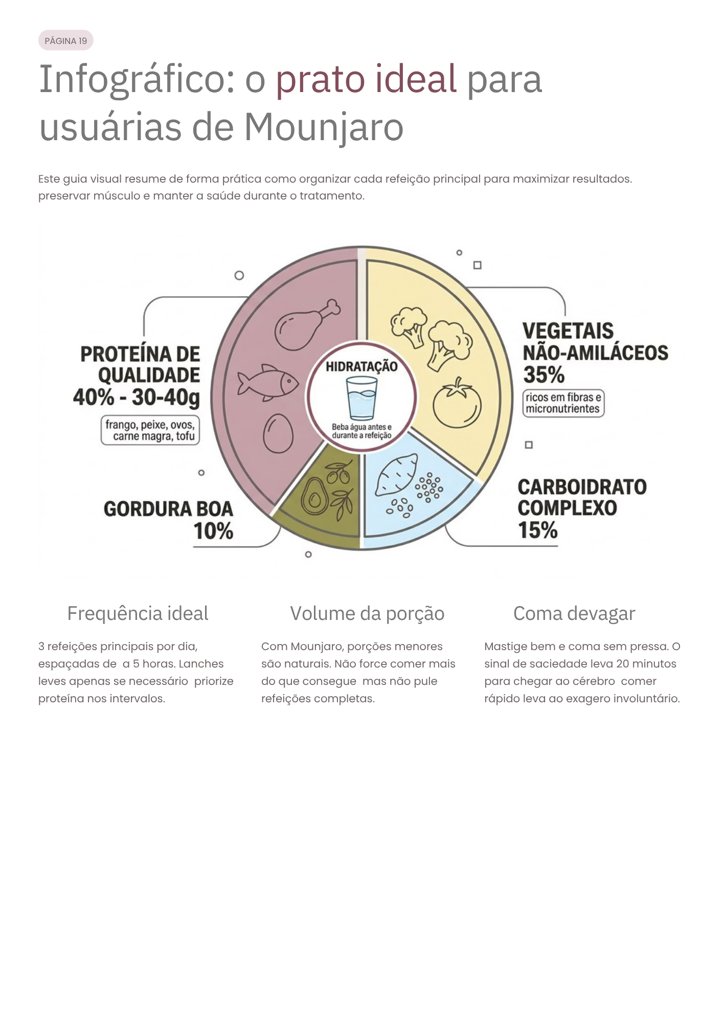 Infográfico O Prato Ideal
