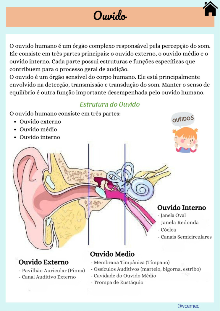 Ouvido humano — página real do PDF