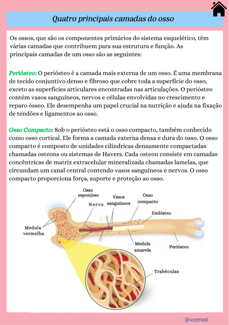 Estrutura dos ossos — página real do PDF