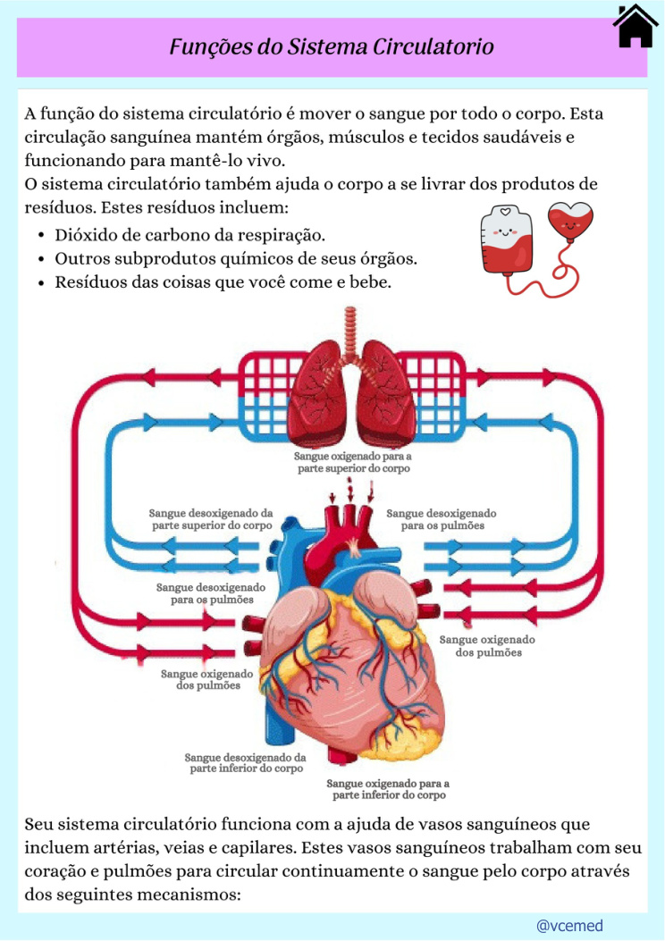 Circulação sanguínea — página real do PDF