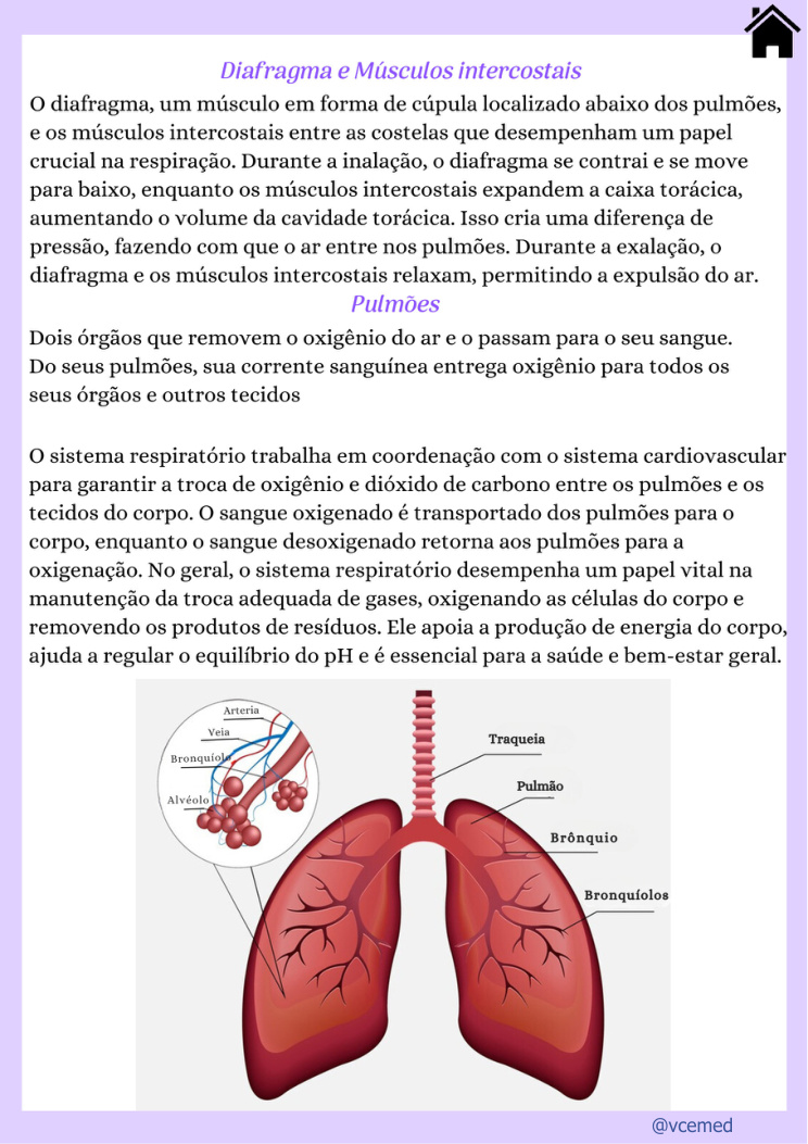 Pulmões e trocas gasosas — página real do PDF