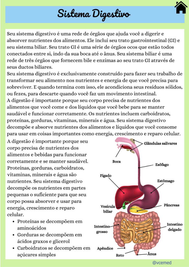 Sistema digestivo — página real do PDF