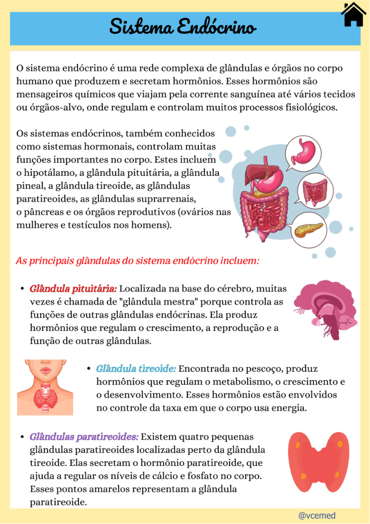 Sistema endócrino — página real do PDF
