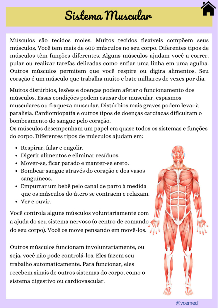 Sistema muscular — página real do PDF